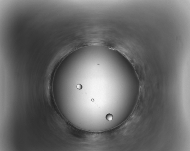 X0000089830293200707051043