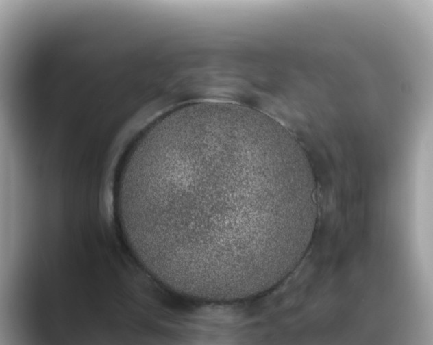 X0000089830294200707051043