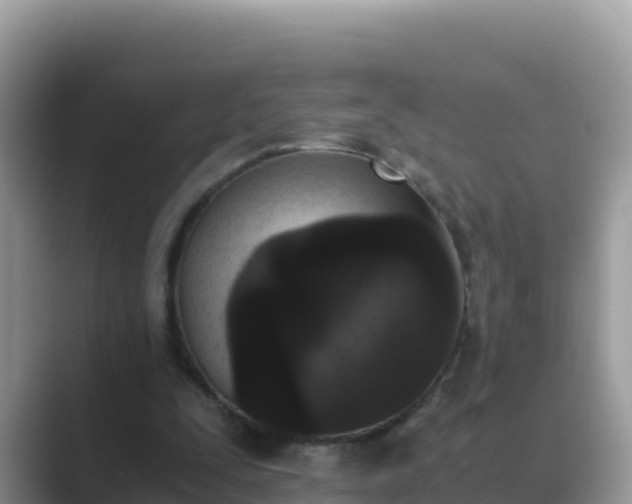 X0000089830295200707051043