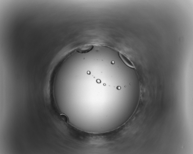 X0000089830296200707051043