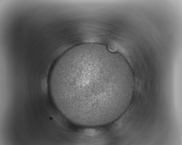 X0000089830298200707051043