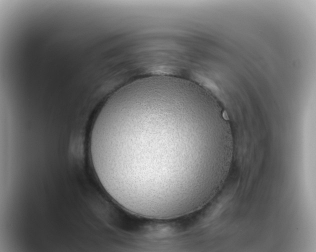 X0000089830299200707051043