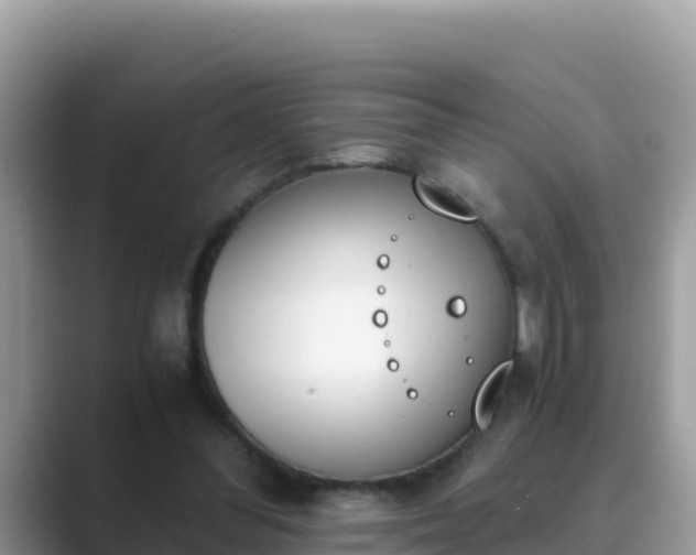 X0000089830300200707051043