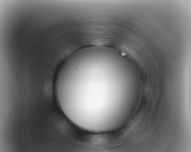 X0000089830303200707051043