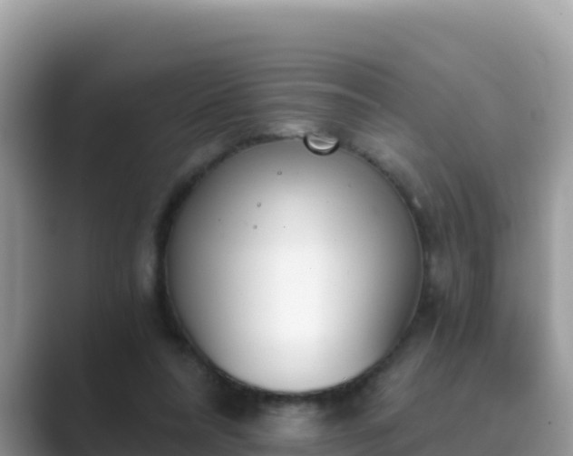 X0000089830304200707051043