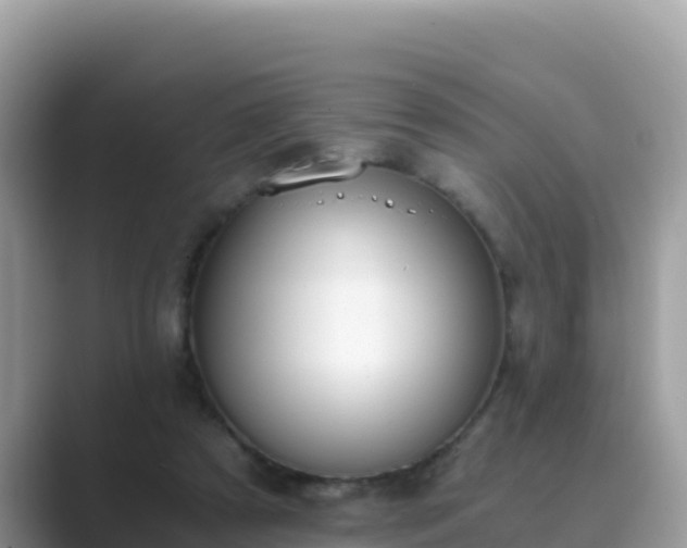 X0000089830305200707051043