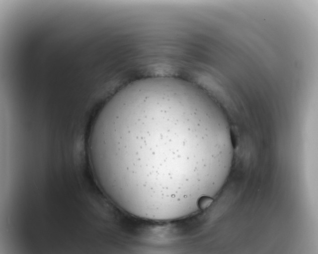 X0000089830306200707051043