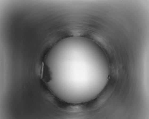 X0000089830307200707051043