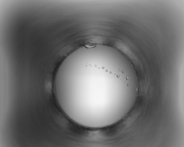 X0000089830309200707051043