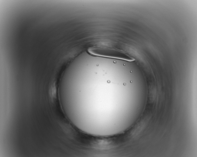 X0000089830310200707051043