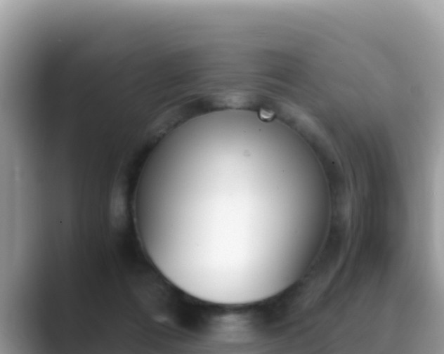 X0000089830312200707051043