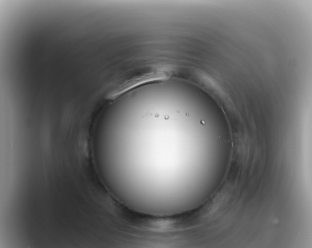 X0000089830313200707051043