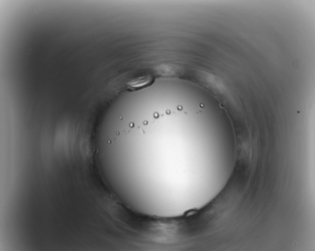 X0000089830317200707051043