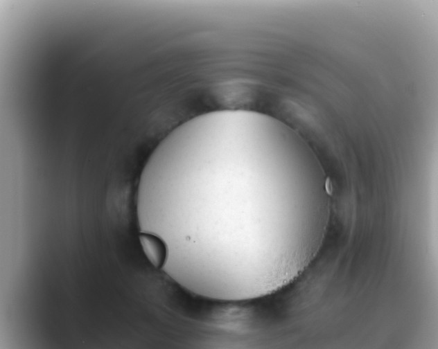 X0000089830319200707051043