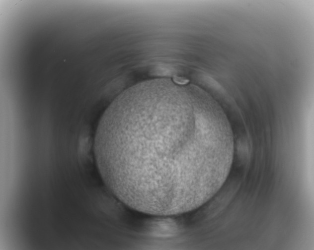 X0000089830322200707051043