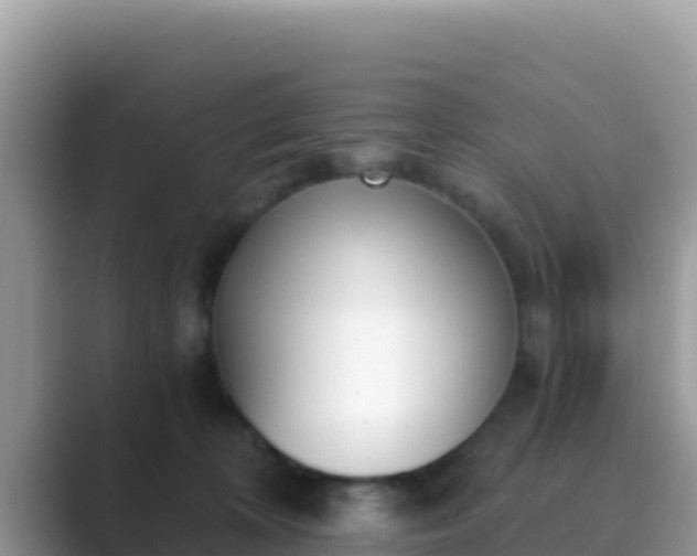 X0000089830324200707051043