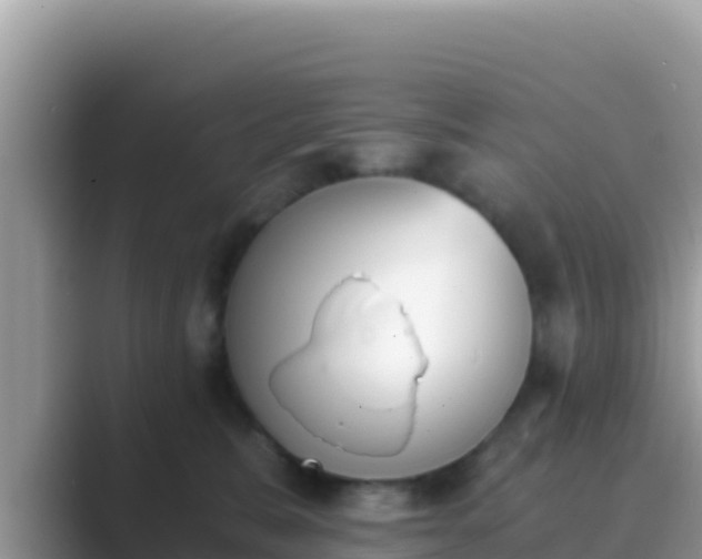 X0000089830327200707051043