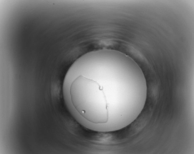 X0000089830328200707051043