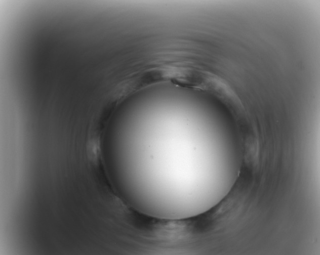 X0000089830329200707051043