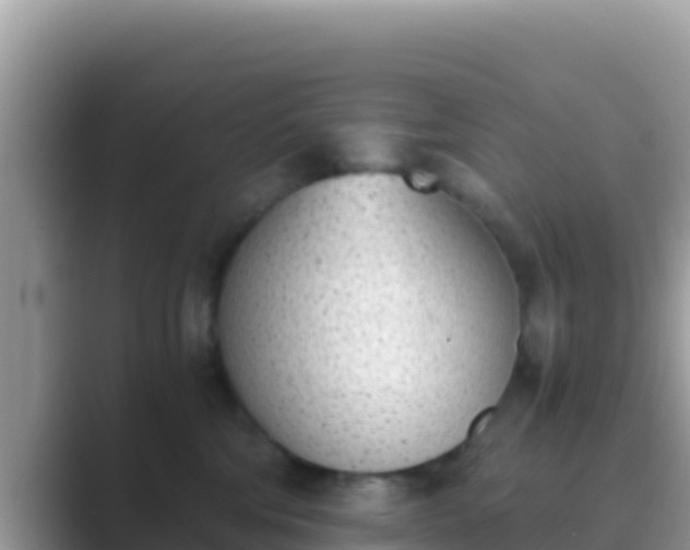 X0000089830330200707051043