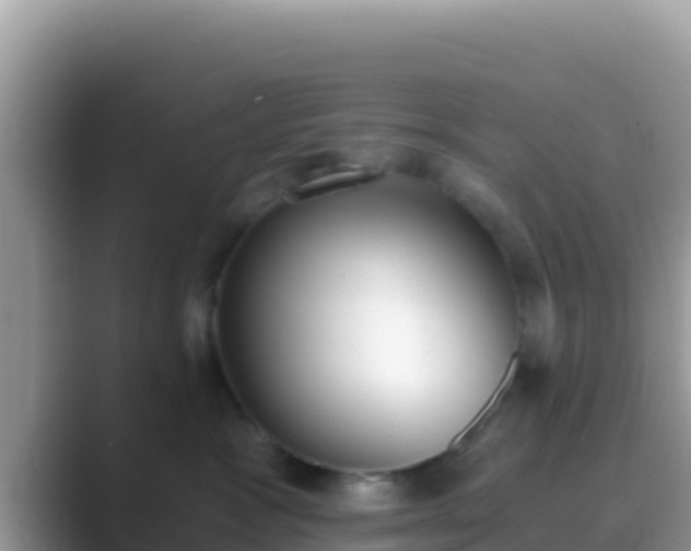 X0000089830333200707051043