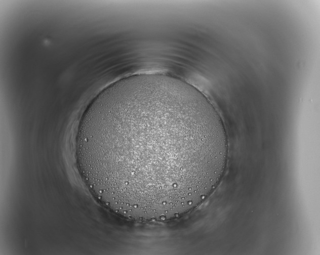 X0000089830337200707051042