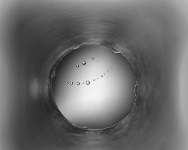 X0000089830338200707051042