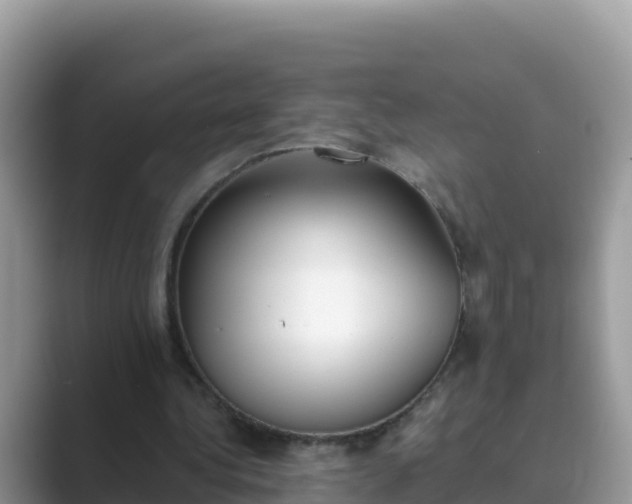 X0000089830340200707051042