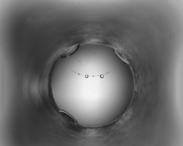 X0000089830341200707051042