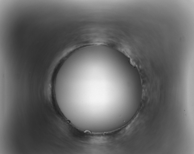 X0000089830342200707051042