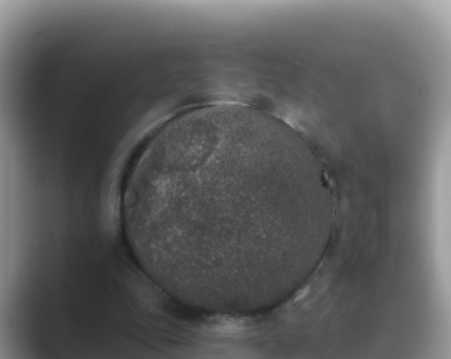 X0000089830343200707051042