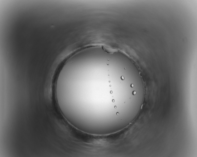 X0000089830344200707051042