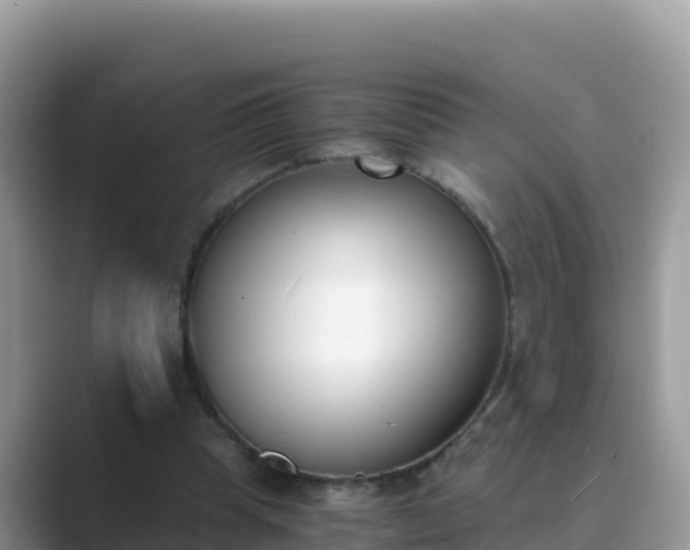 X0000089830345200707051042