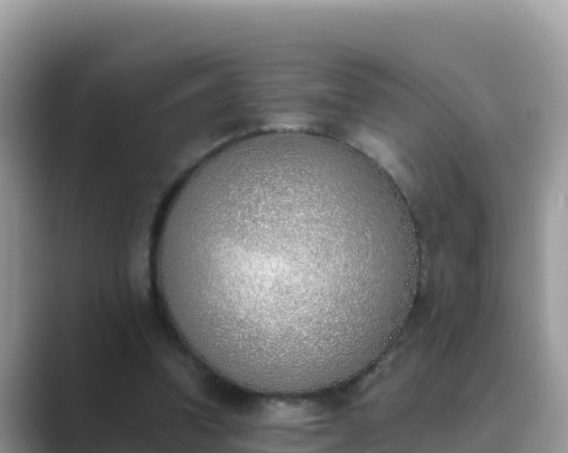 X0000089830346200707051043