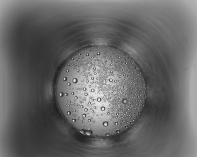 X0000089830347200707051043