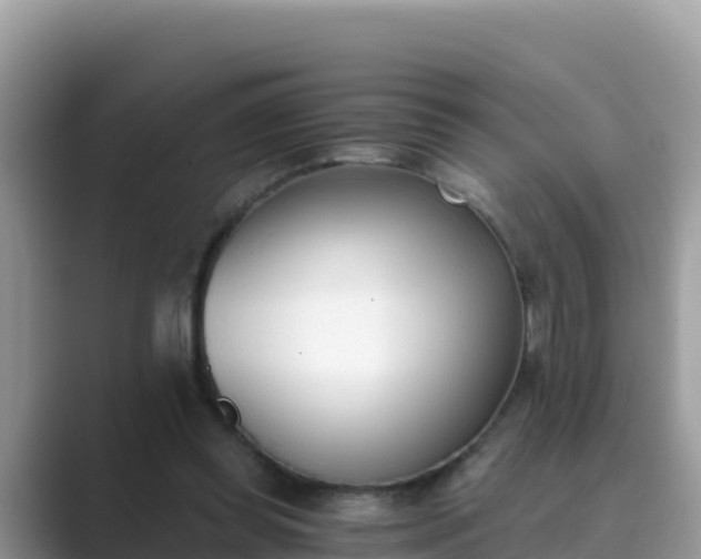 X0000089830349200707051043