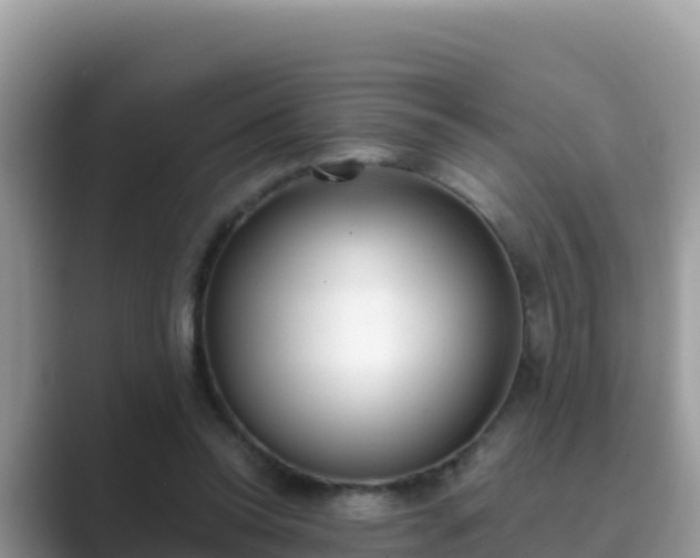 X0000089830350200707051043