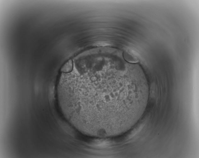 X0000089830351200707051043