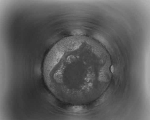 X0000089830353200707051043