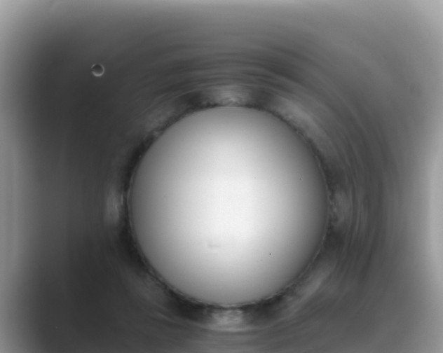 X0000089830355200707051043