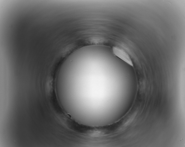 X0000089830356200707051043