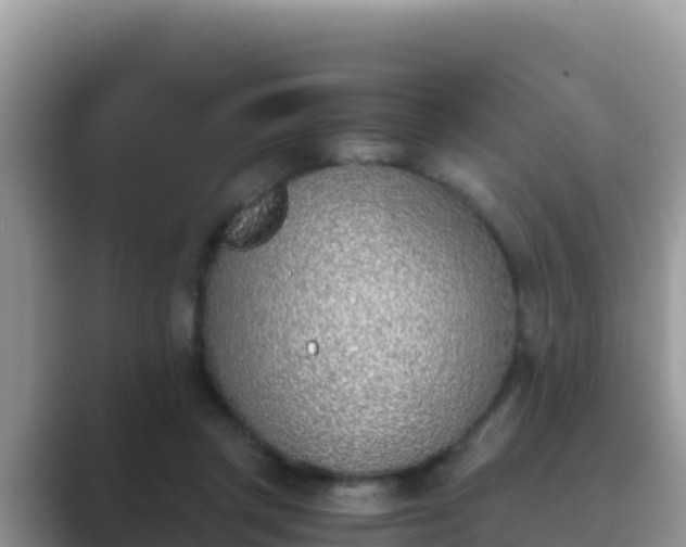 X0000089830357200707051043