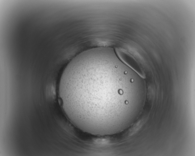 X0000089830358200707051043