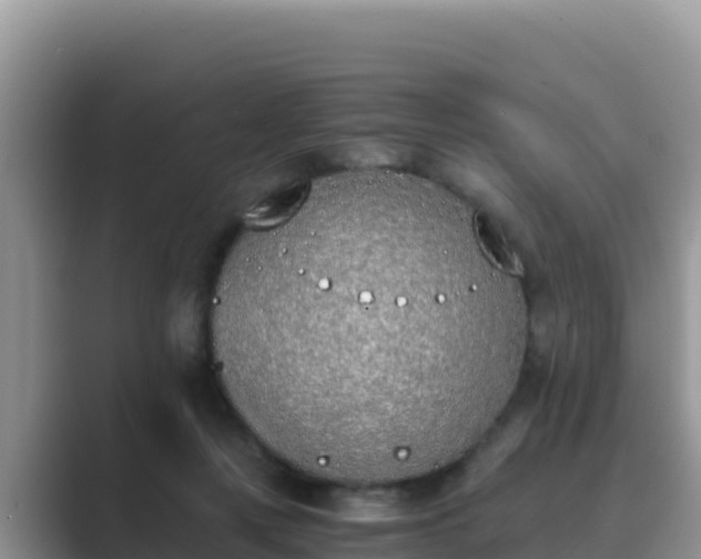 X0000089830359200707051043