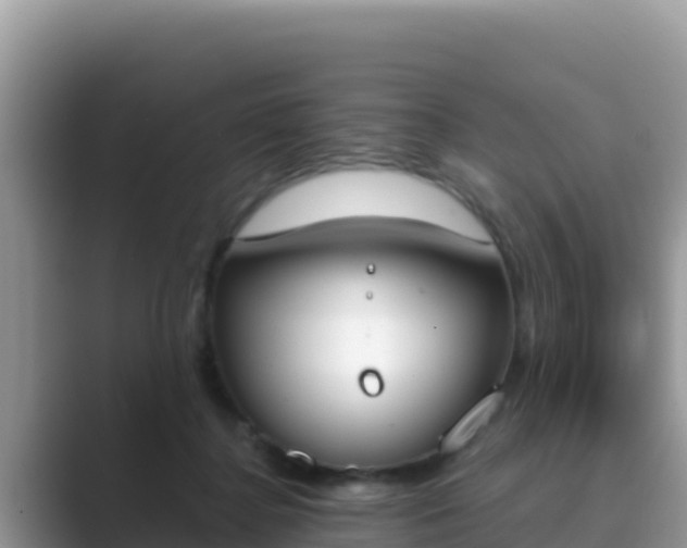 X0000089830364200707051043