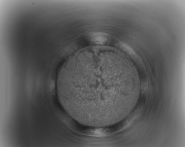 X0000089830365200707051043