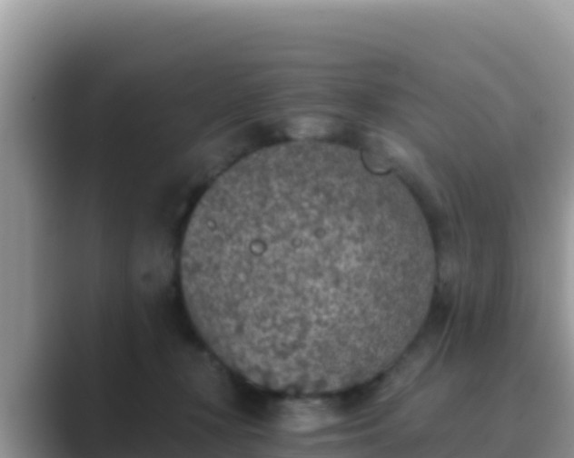 X0000089830367200707051043