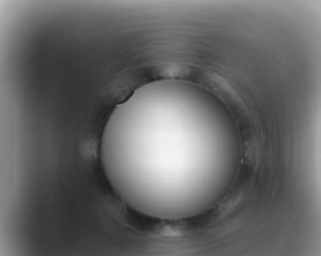 X0000089830368200707051043