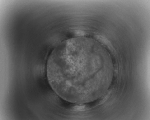 X0000089830369200707051043