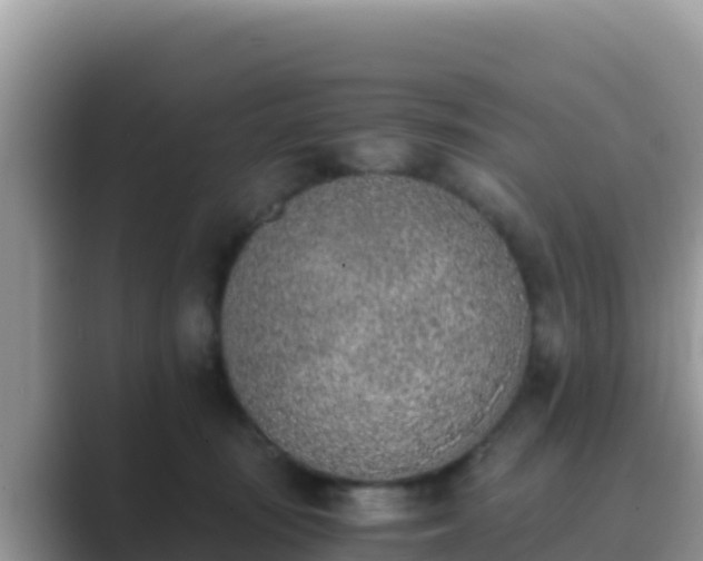 X0000089830371200707051043